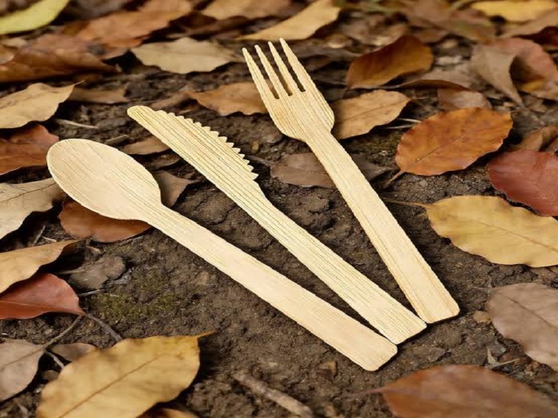 Wooden Disposable Cutlery