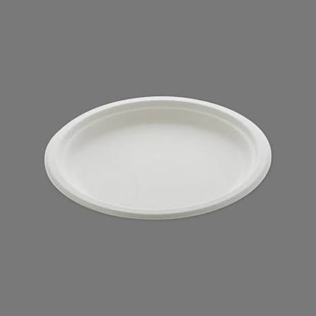 10 Inch Round Bagasse Plate