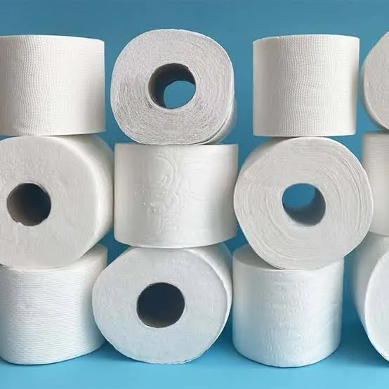 Toilet Paper Roll