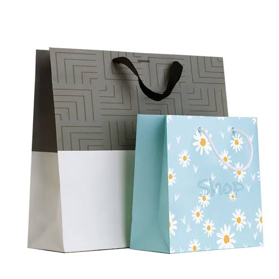 Designer Printed Paper Bag