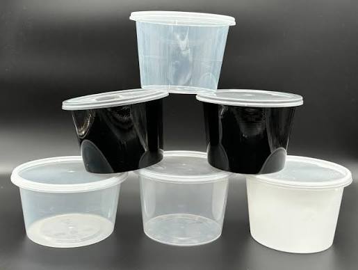 Disposable Plastic Food Container