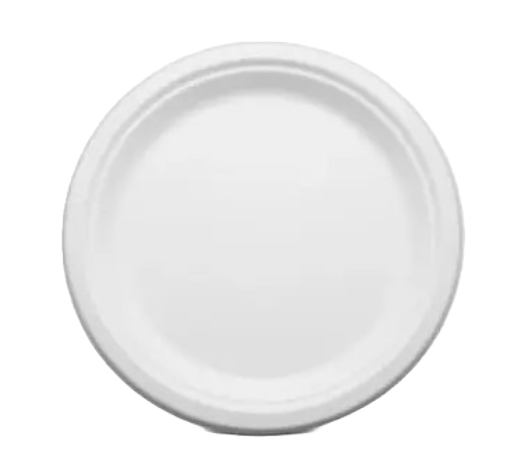 Bagasse 12 Inch Round Plate