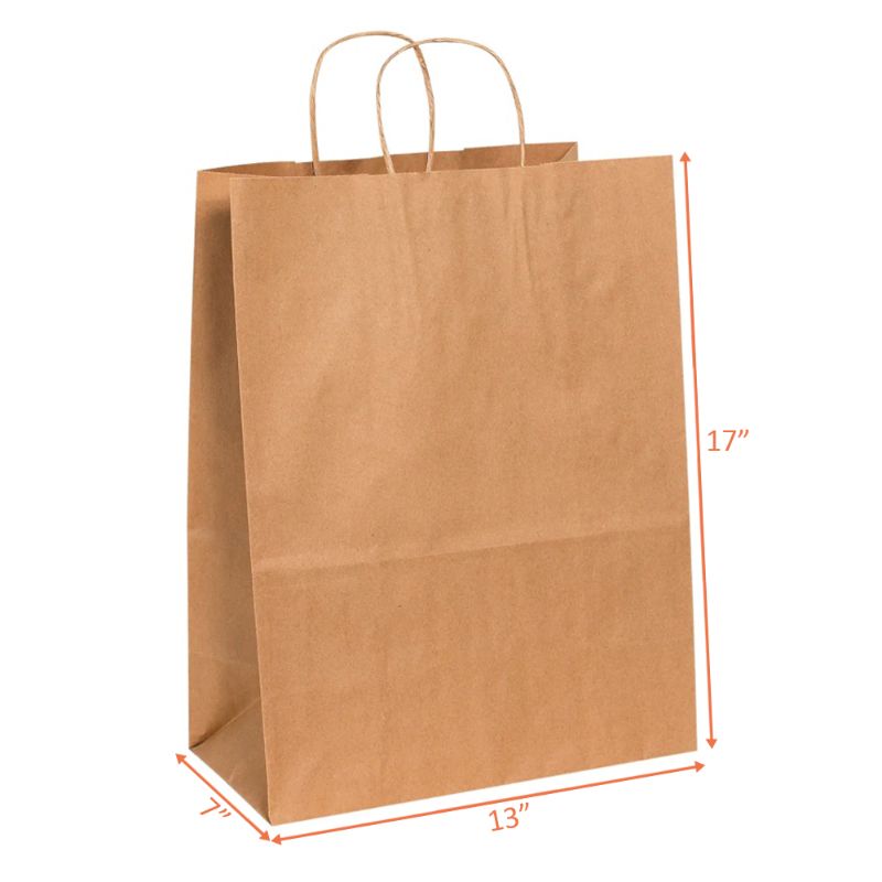 Paper Carry Bags