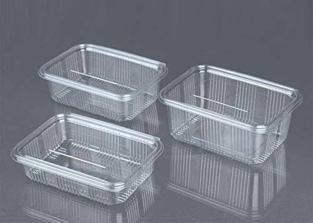 Disposable Plastic Hinged Food Container