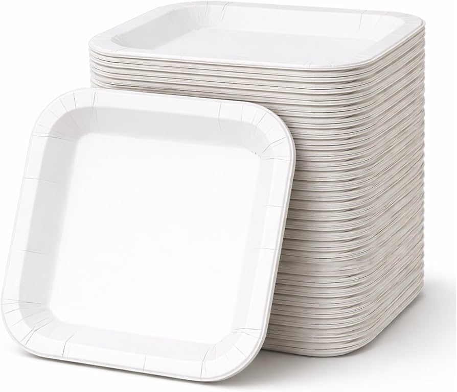 Plastic Disposable Food Tray