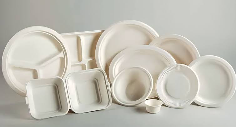 Sugarcane Bagasse Plates And Bowls