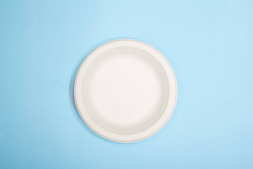 Sugarcane Bagasse Round Plate 7 inch