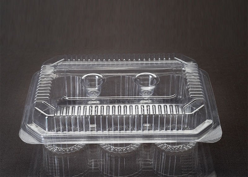 6 Partition Cupcake Hinged Box