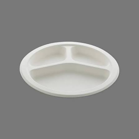 10 Inch 3-Compartment Bagasse Plate
