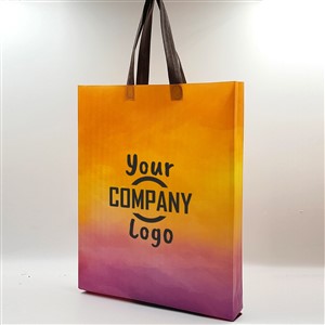 Exhibition Promotional Paper Bag