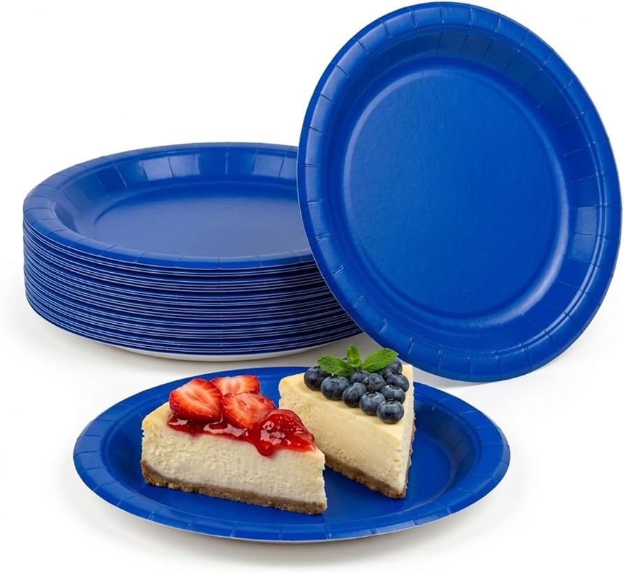 Plain Disposable Plate