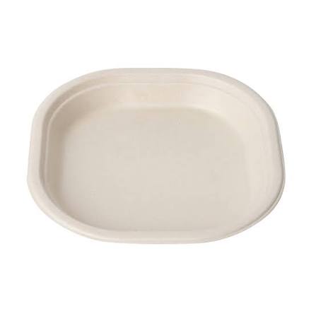 9 Inch Square Bagasse Plate