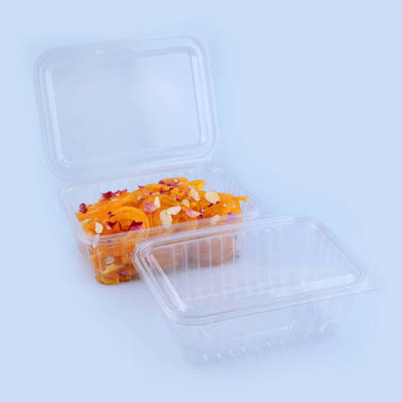 Hinged Pet Container