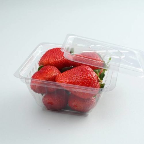 500 Gm Fruit Punnet Hinged Box
